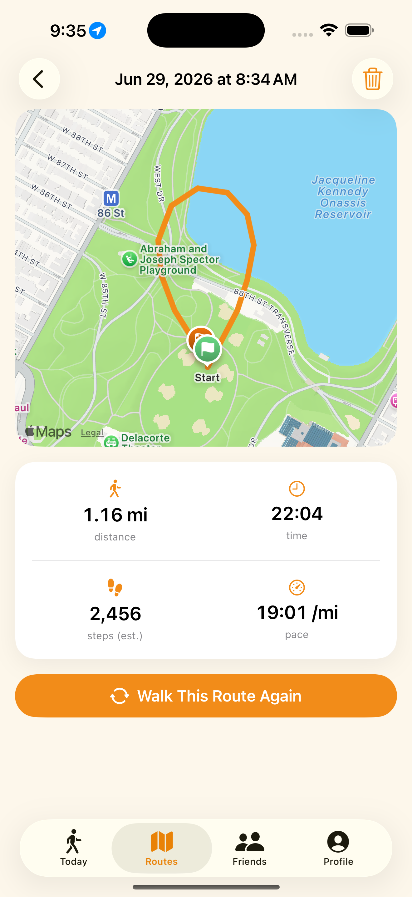 StepHive — A tracked walk with route map and stats